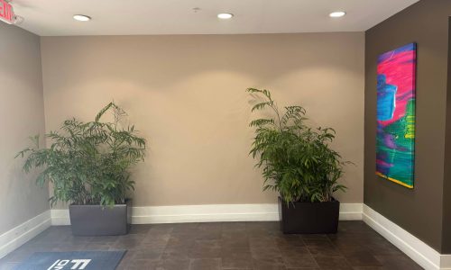 FLATS ON VINE - PACKAGE ROOMS
